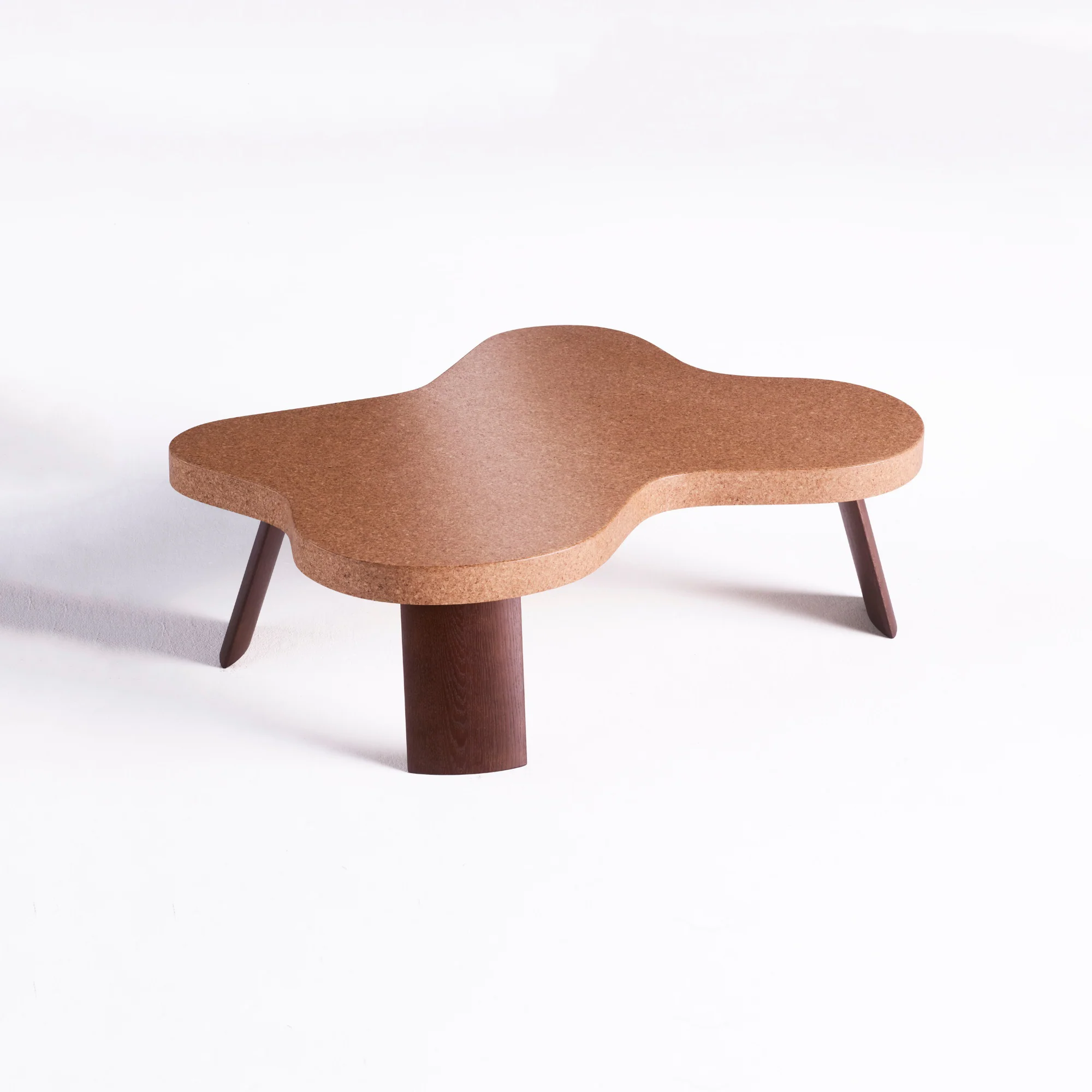 Amoeba Table - Image 6