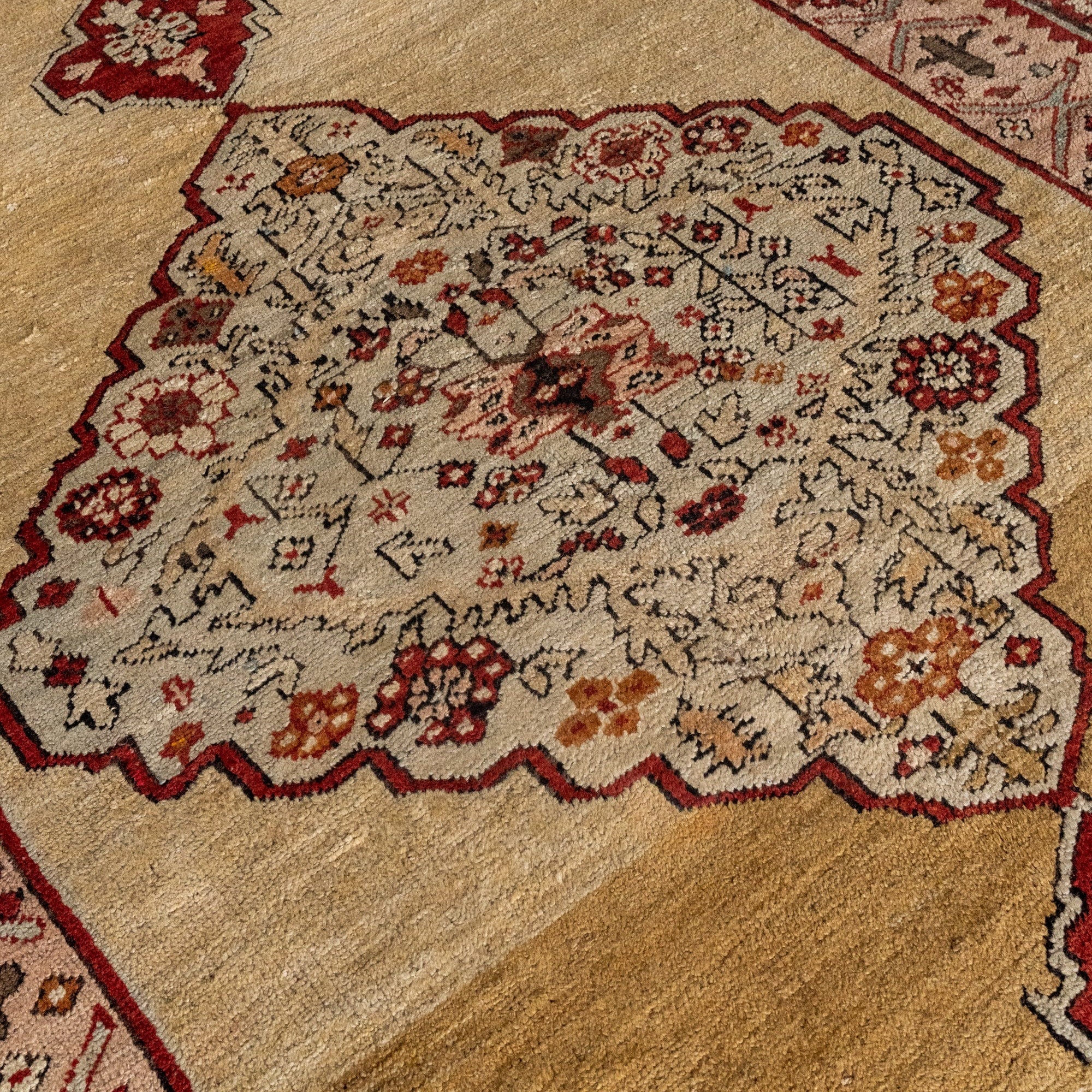 Cordelia Rug - Image 16