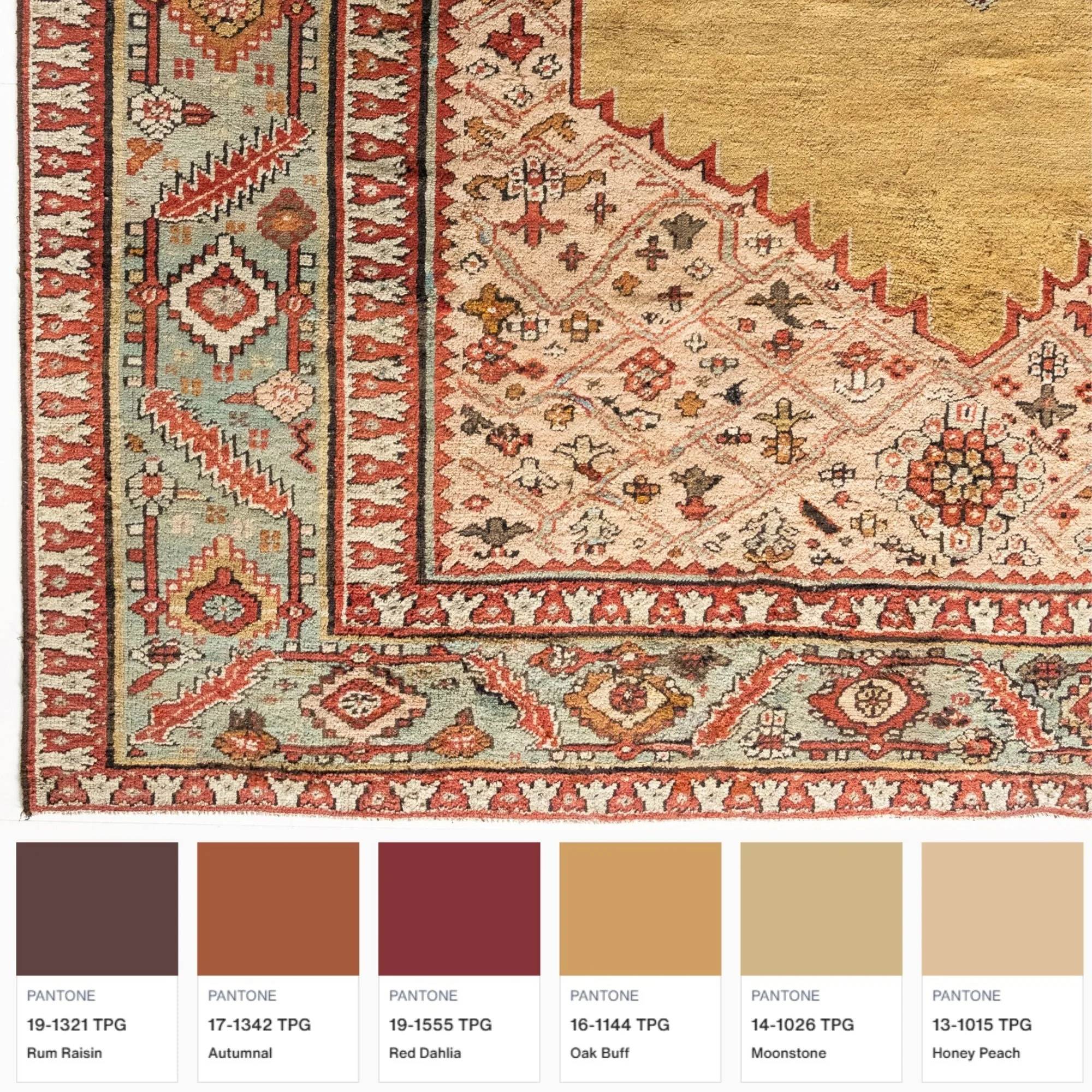 Cordelia Rug - Image 17