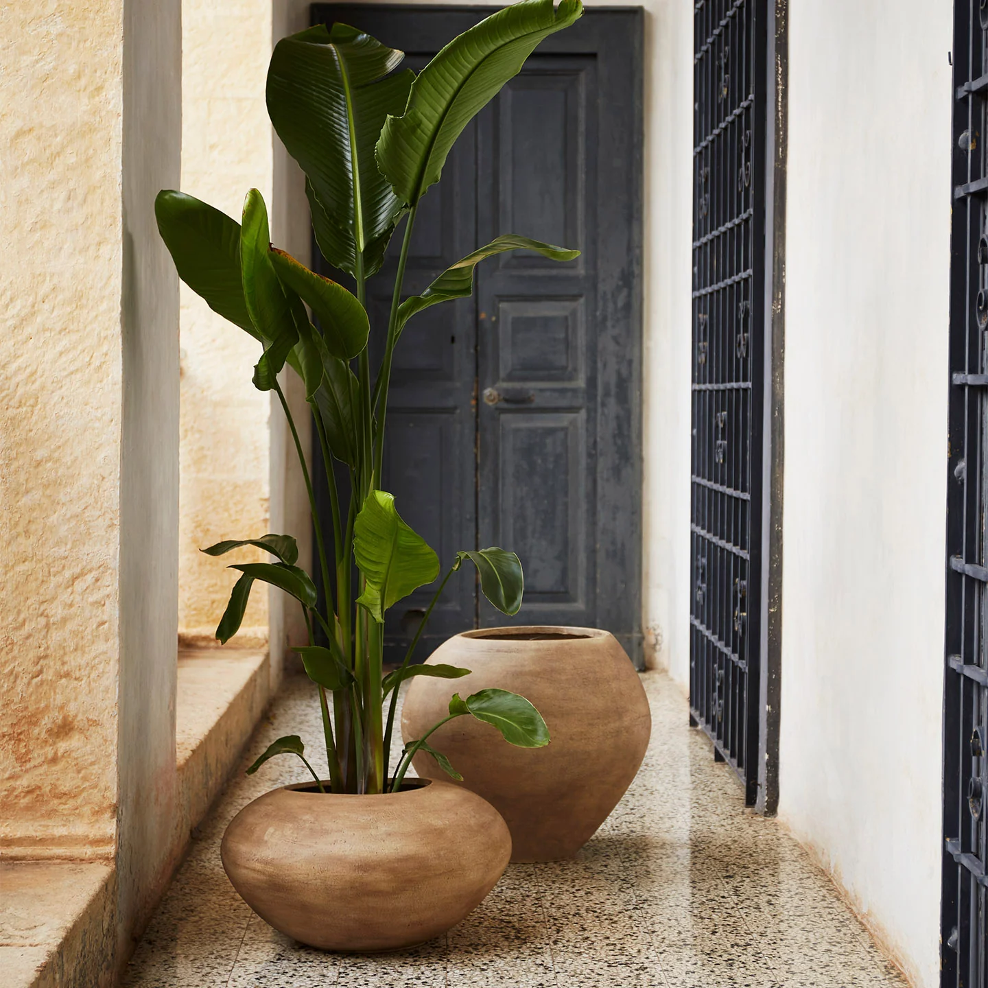 Dodu Pot - Brown - Image 3