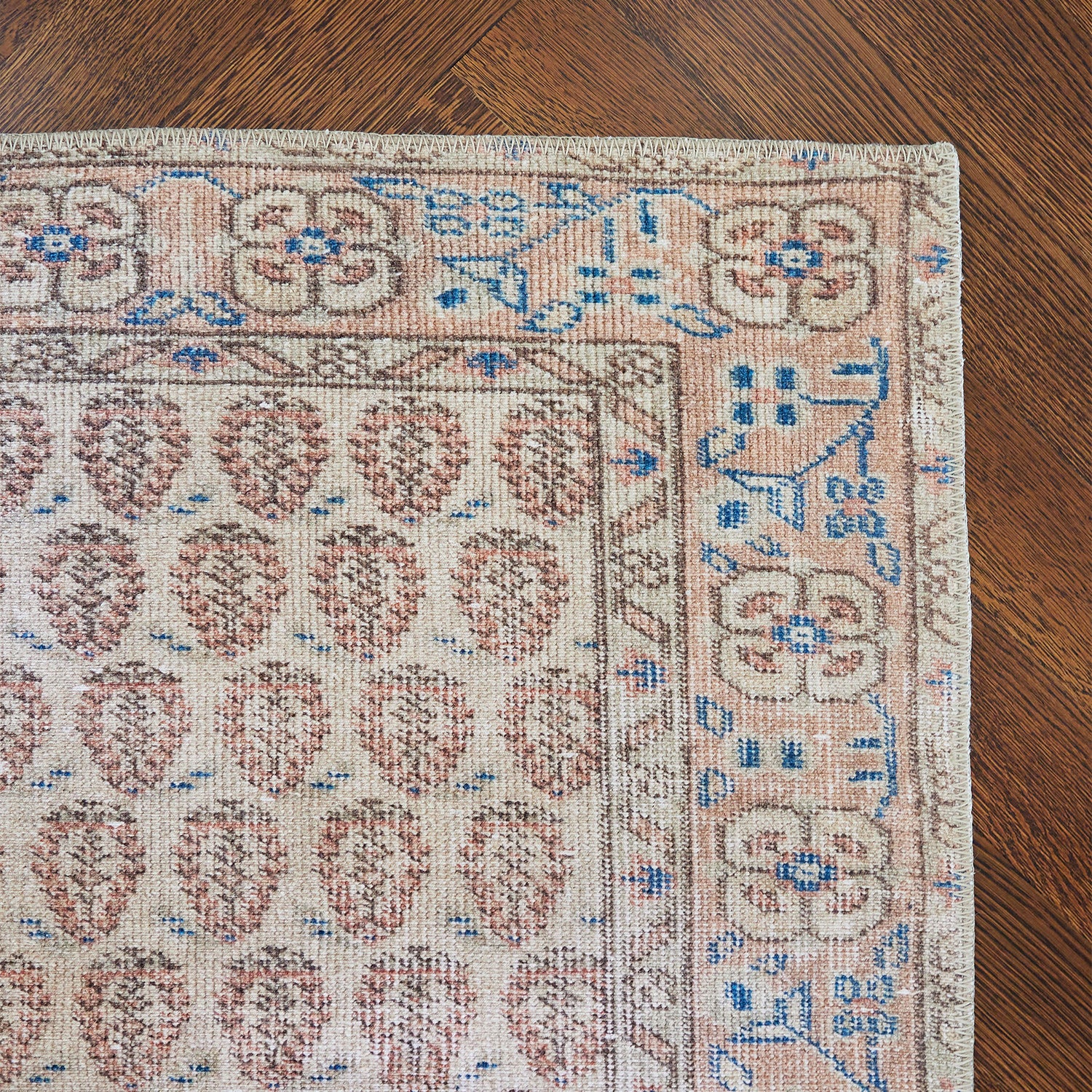 Dorset-2 Blush Rug - Image 4