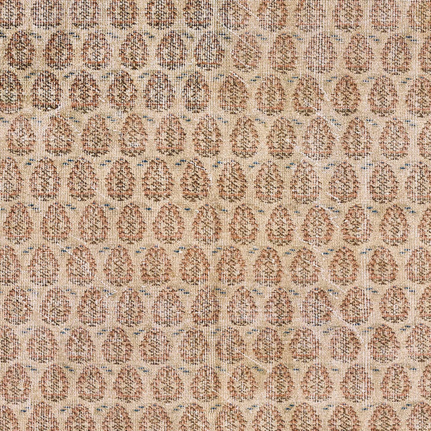 Dorset-2 Blush Rug - Image 5