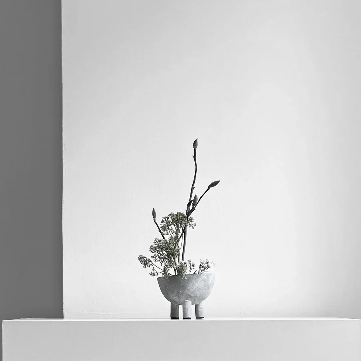 Duck Bowl - Mini - Image 5