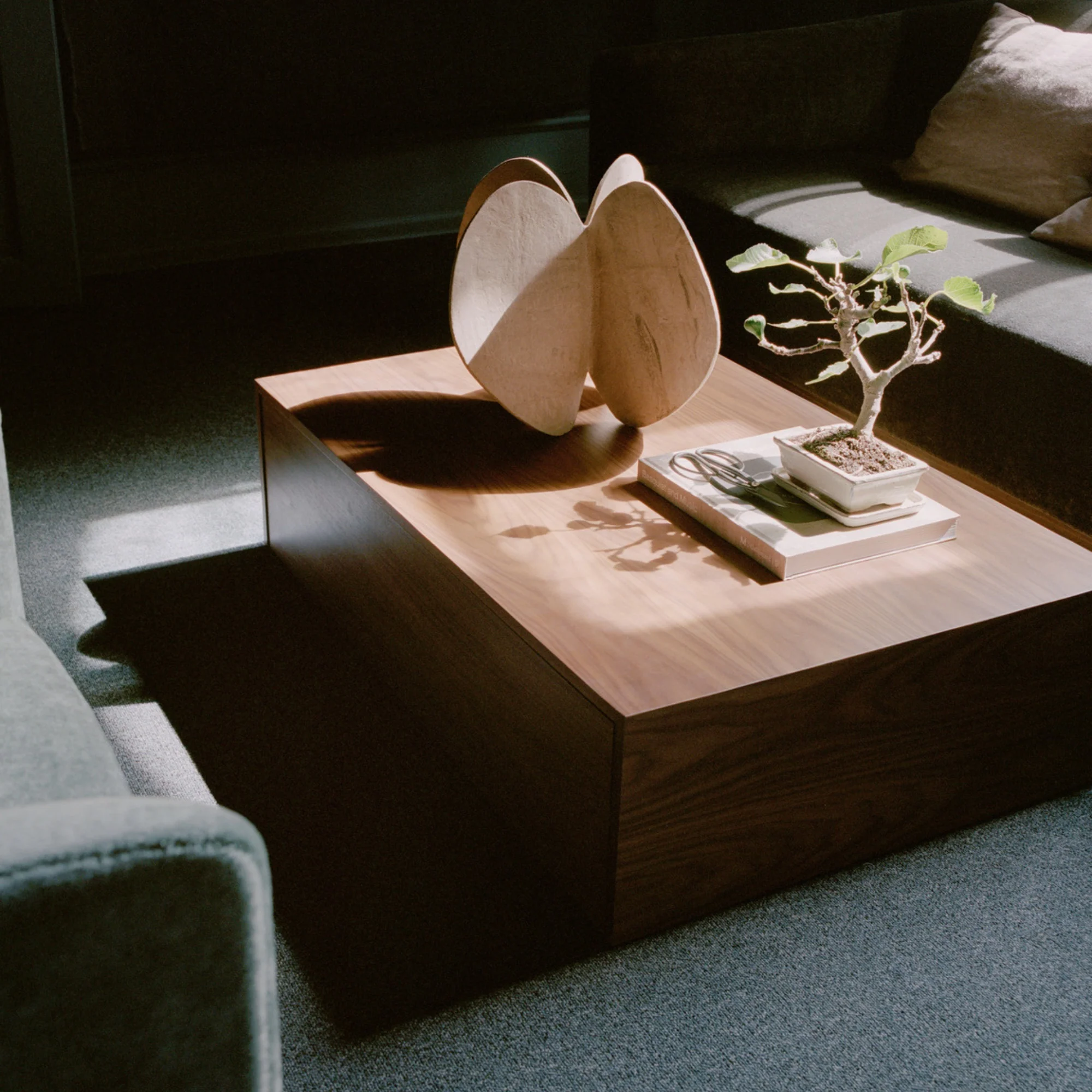 Mass Wide Coffee Table with Drawer - Image 4