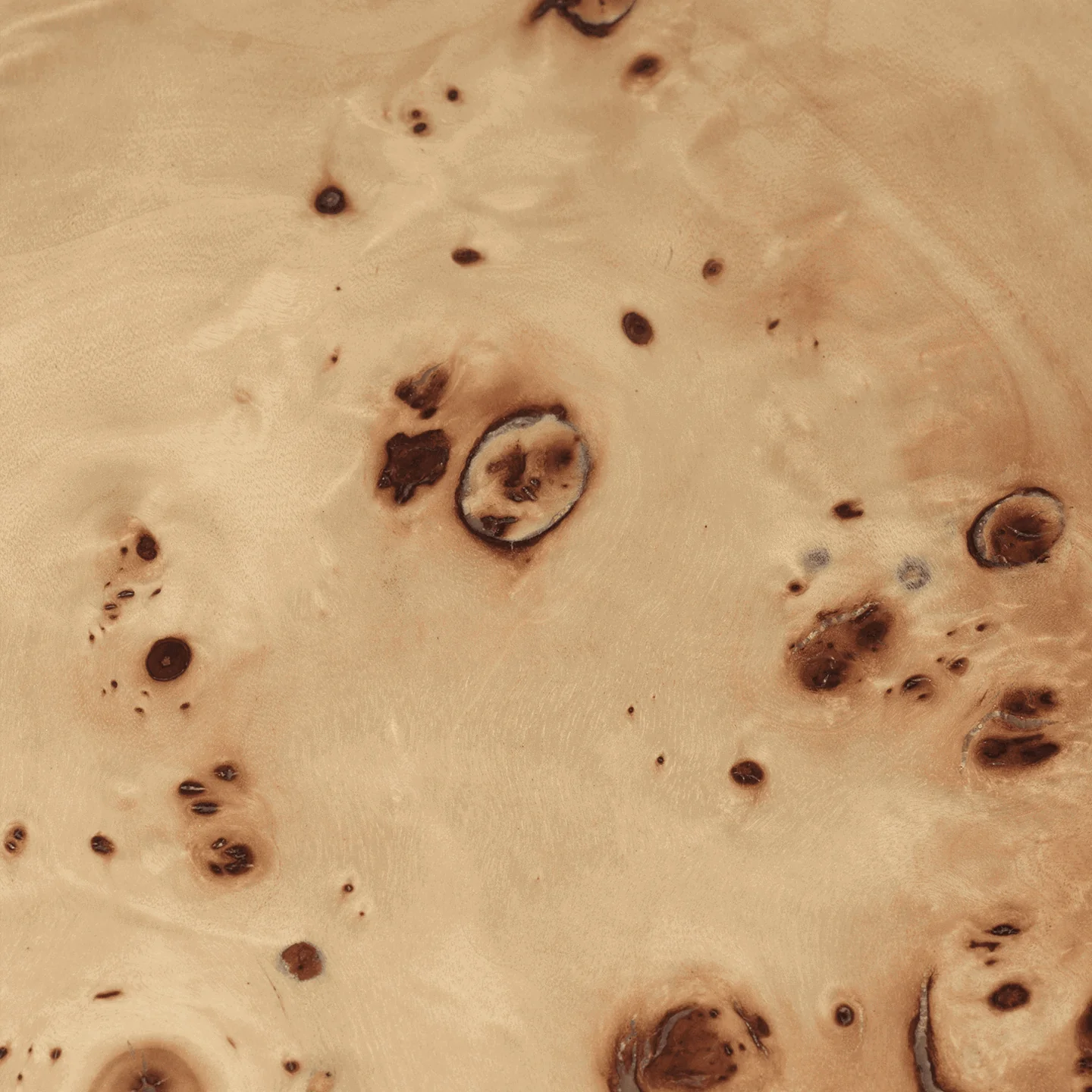 Post Coffee Table - Small - Poplar Burl Veneer - Image 3