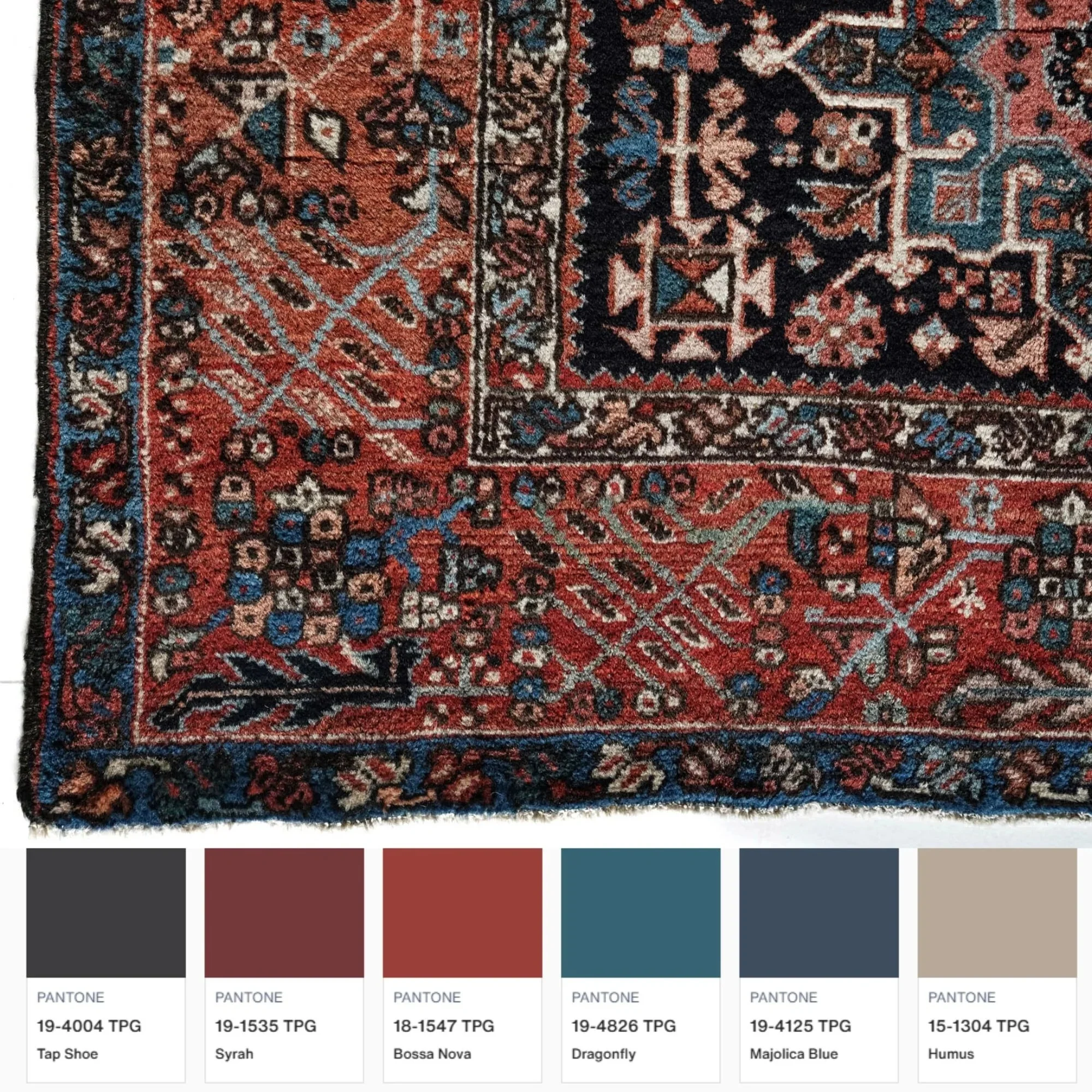 Randle Rug - Image 12