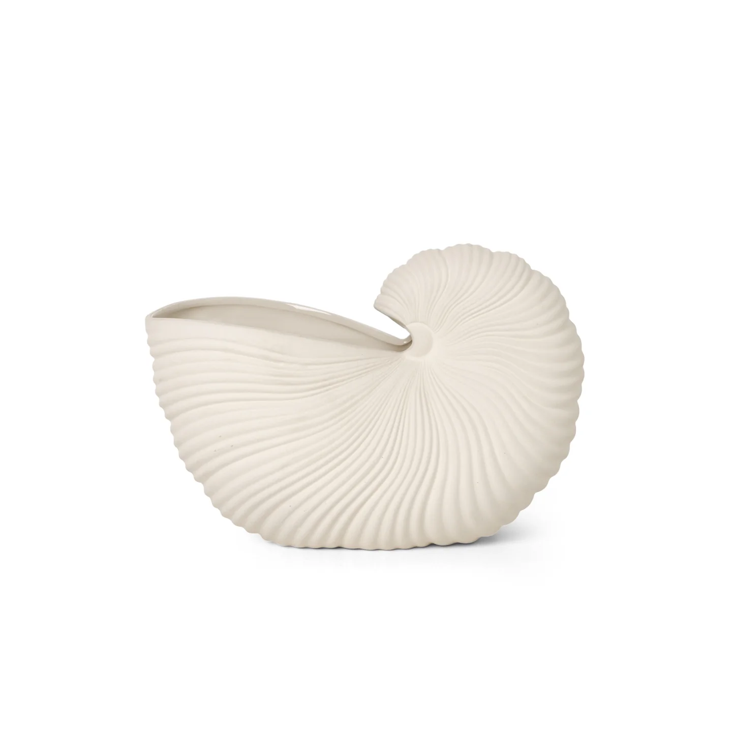Shell Pot - Off-White - Image 2