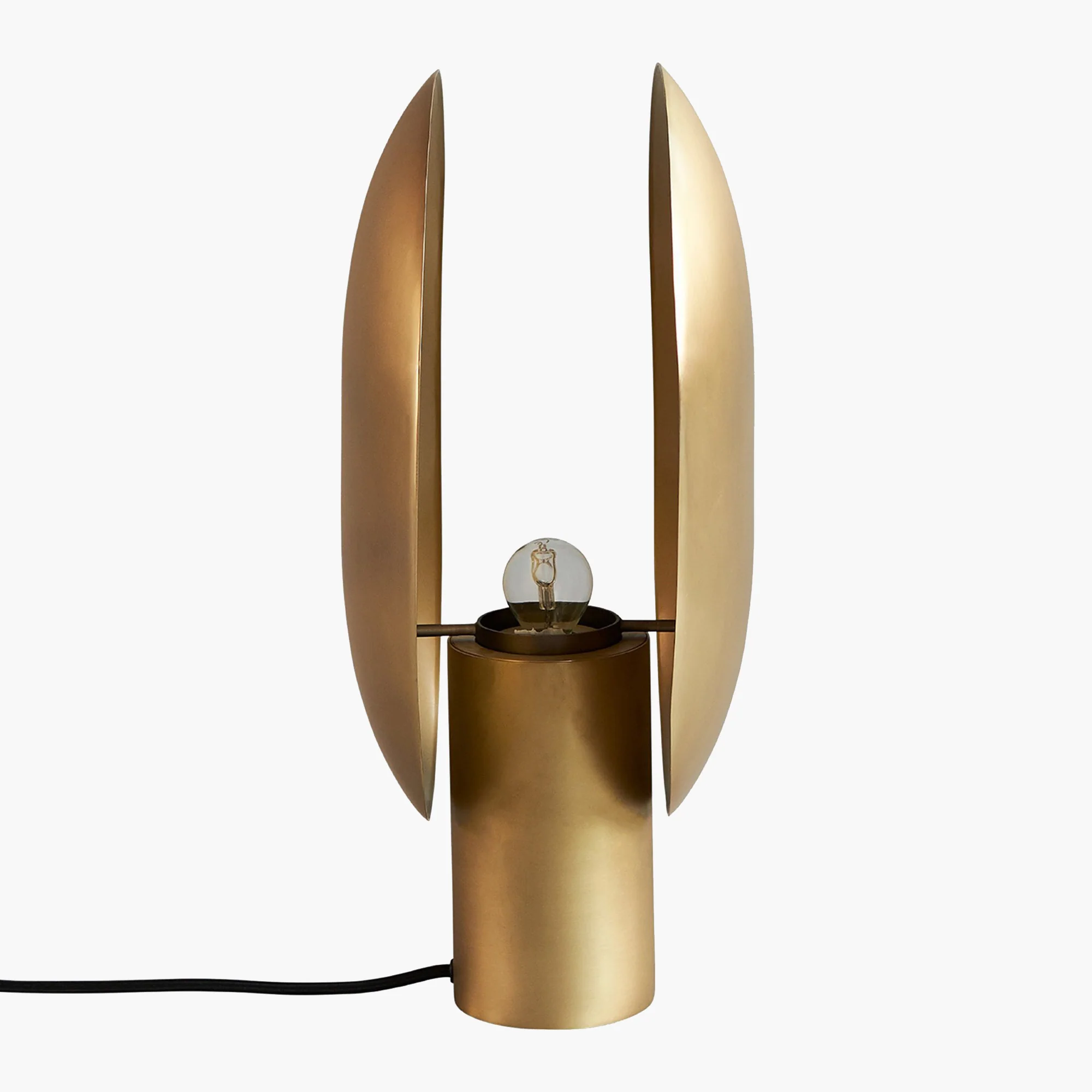 Clam Table Lamp - Image 9