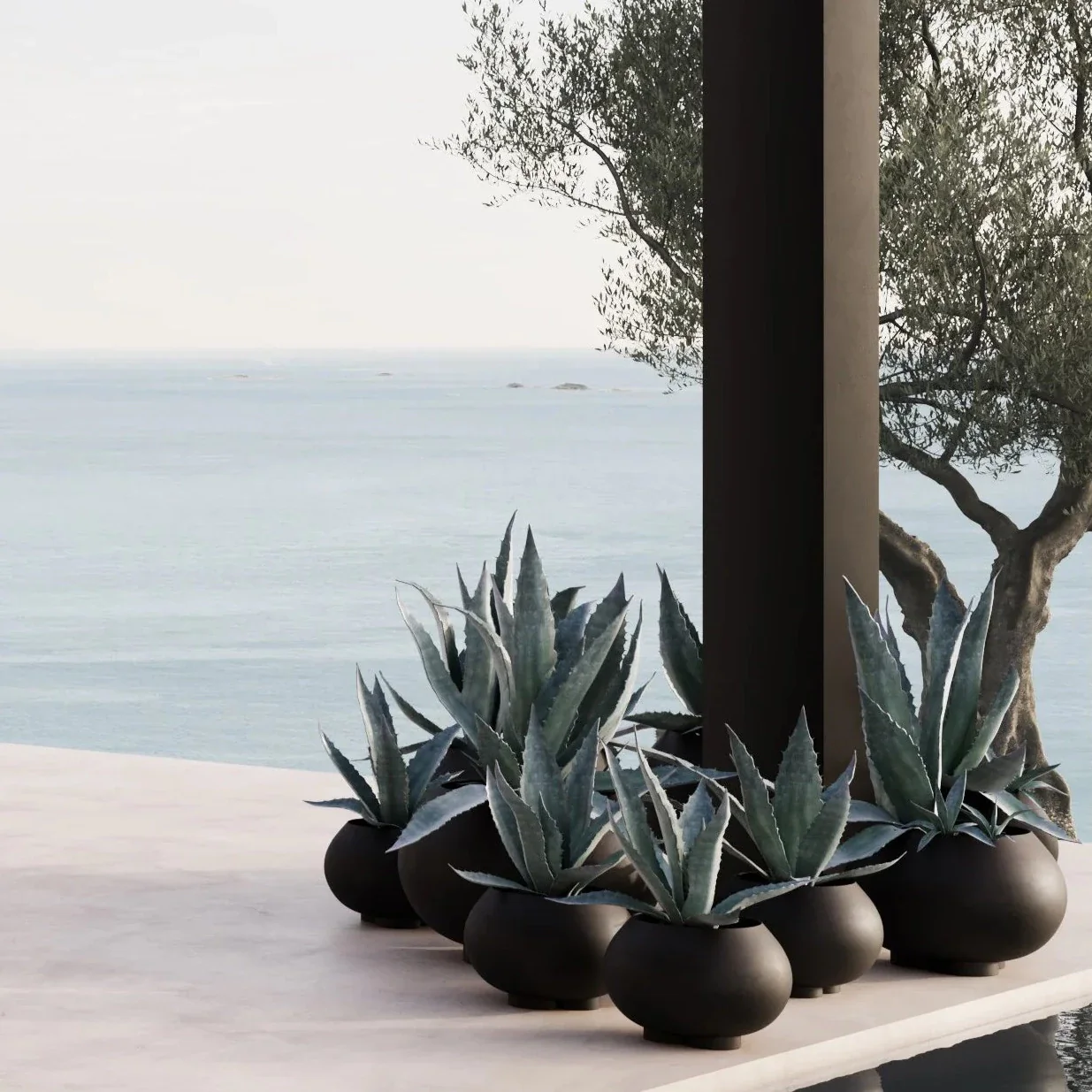 Urchin Plant Pot - Image 14