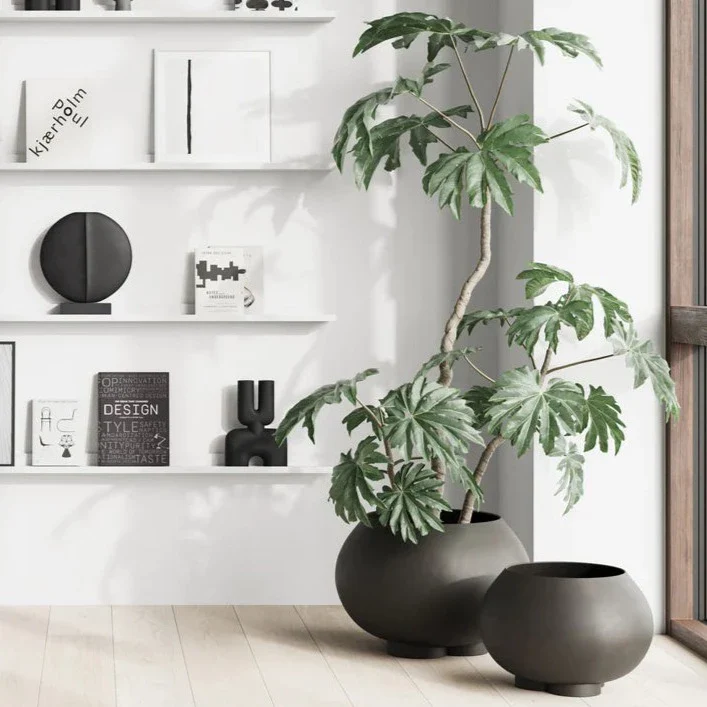 Urchin Plant Pot - Image 18