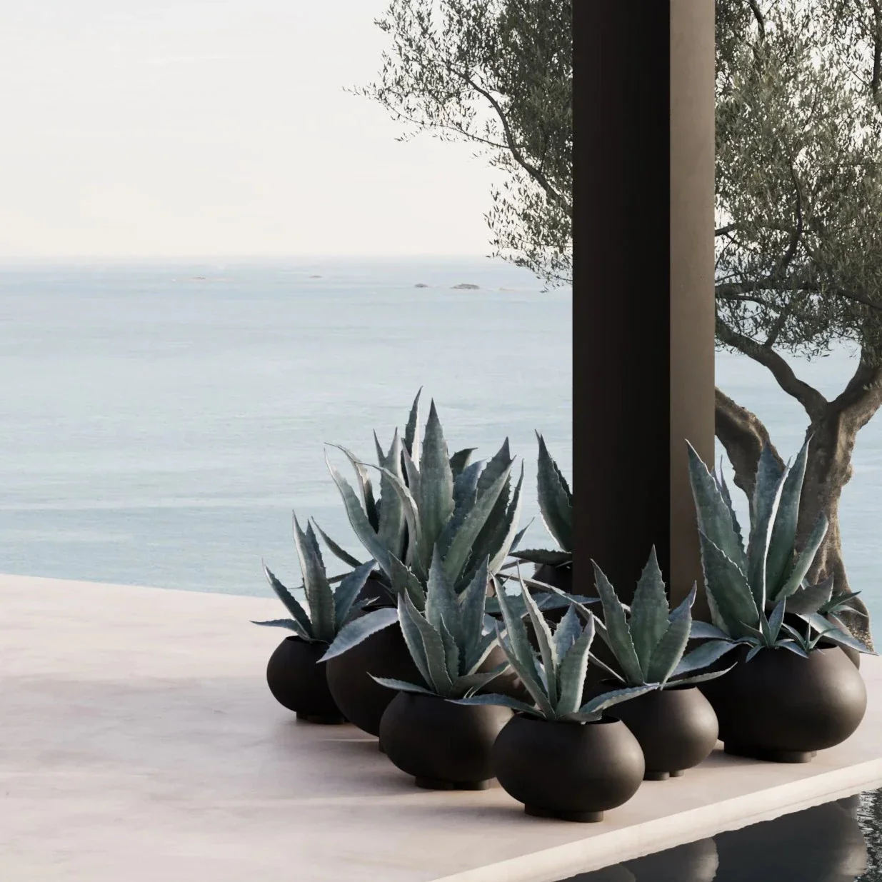 Urchin Plant Pot - Image 23
